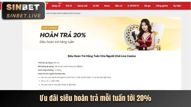 BigBet công bố chương trình khuyến mãi mới